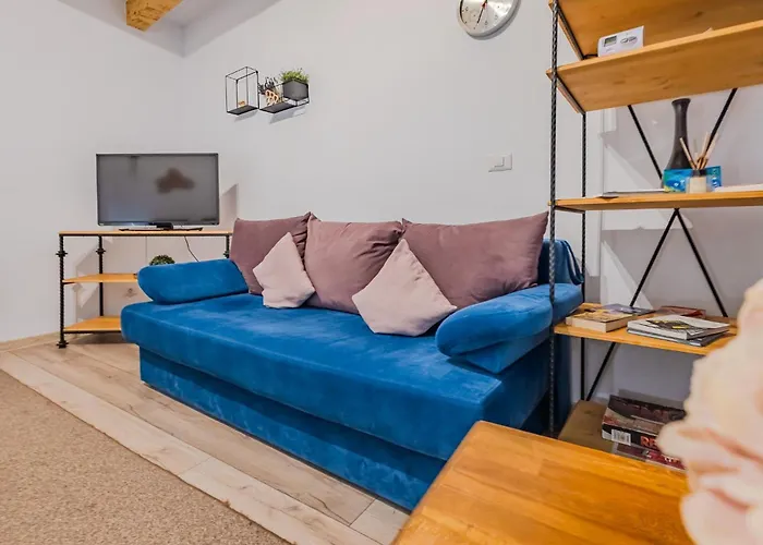 Arctic Apartment Brasov